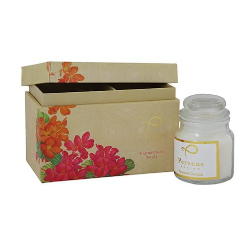 Tropical Coconut - Jar Candle (Set of 2)