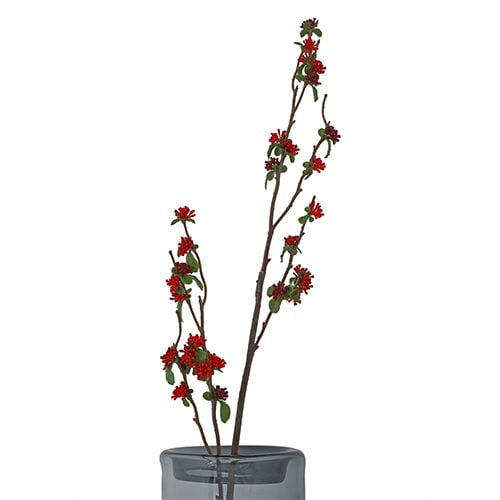 Blossom Branch (Red)