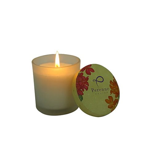 Tropical Coconut - Glass Candle