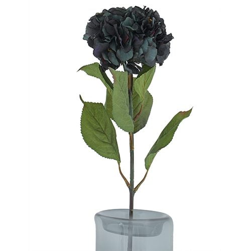 Green Hydrangea