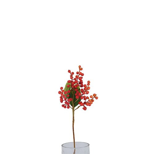 Light Red Berries