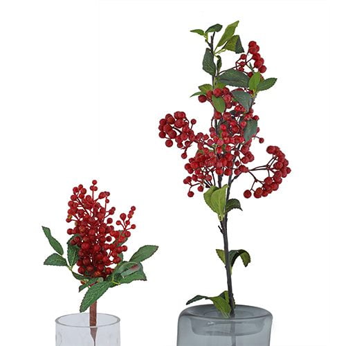 Maroon Berries
