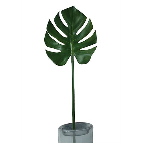 Palm Leaf (Cut)