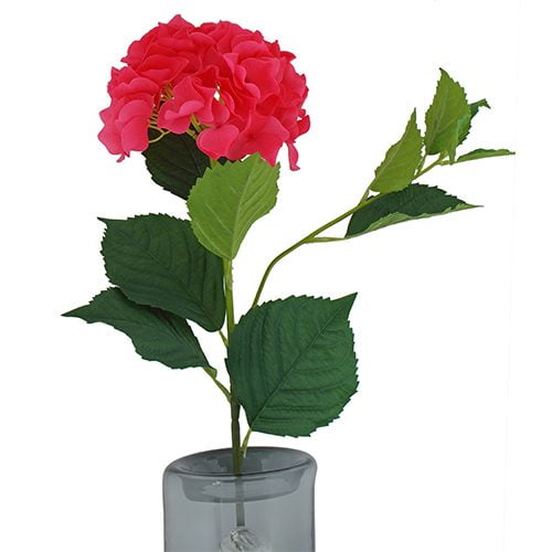 Pink Hydrangea