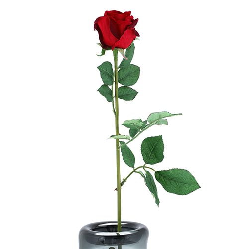 Red Rose