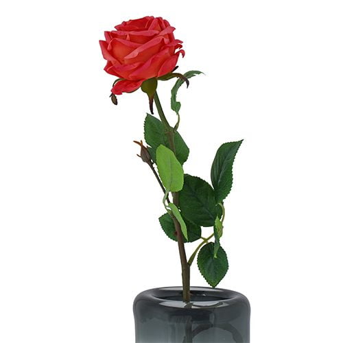 Pink Rose