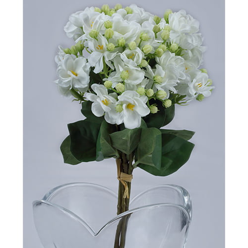 White Jasmine
