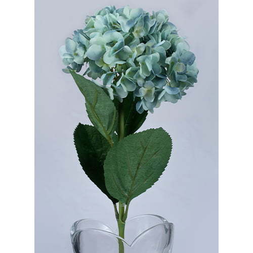 Aqua Hydrangea