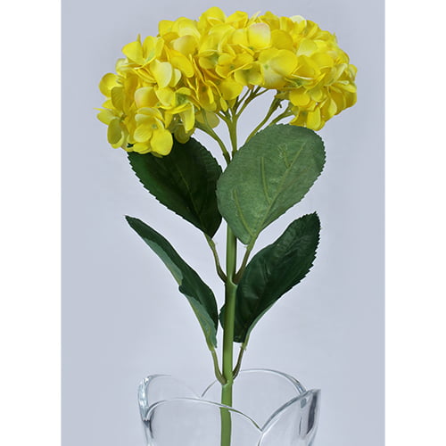 Yellow Hydrangea (Short)