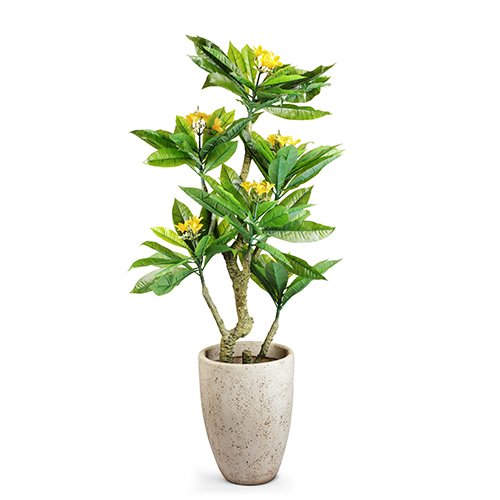 Plumeria Faux Tree